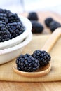 Blackberries on Wooden Spoon