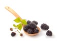 Blackberries in a wooden spoon, side view