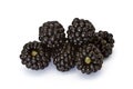 Blackberries XIV Royalty Free Stock Photo