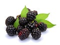 Ai Generated illustration Wildlife Concept of Blackberries XIV Royalty Free Stock Photo