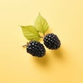 Minimalistic Blackberry Design On Light Yellow Background