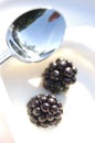 Blackberries,yoghurt and spoon Royalty Free Stock Photo