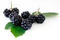 BLACKBERRY Royalty Free Stock Photo