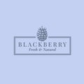 Blackberry Abstract Vector Sign, Symbol or Logo Template. Hand Drawn Berries Sillhouette Sketch with Elegant Retro