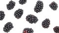 Blackberry backdrop. Multiple fruits isolated on white background