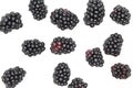 Blackberry backdrop. Multiple fruits isolated on white background