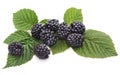 Blackberry berries on a green leaf.