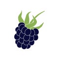 Blackberry Berry Icon