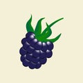 Blackberry Berry Icon