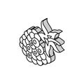 blackberry berry isometric icon vector illustration Royalty Free Stock Photo