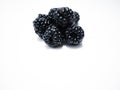 Blackberry Bio product