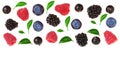 Blackberry blueberry raspberry black currant with leaves isolated on white background with copy space for your text. Top Royalty Free Stock Photo