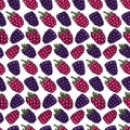 Blackberry, bramble, dewberry and raspberry hand drawn pattern vector illustration