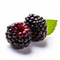 Detailed 8k Photo Of Blackberry On White Background