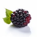 Detailed 8k Photo Of Blackberry On White Background