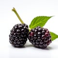 Detailed 8k Photo Of Blackberry On White Background