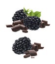 Blackberry and chocolate curls isolated on white Royalty Free Stock Photo