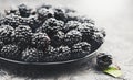 Blackberry close up. Fresh ripe organic blackberries in a bowl closeup on grey Royalty Free Stock Photo