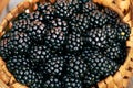 Blackberry closeup background. Fresh Ripe organic black berries close-up. Bio Blackberries, background. Macro shot Royalty Free Stock Photo