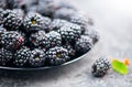 Blackberry closeup. Fresh Ripe organic black berries close-up. Bio Blackberries in a bowl on a table. Summer sweet dessert Royalty Free Stock Photo