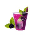 Blackberry cocktail.Summer refreshing drink,lemonade with blackberries and mint. Royalty Free Stock Photo