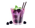 Blackberry cocktail. Summer refreshing drink with mint, ice cubes and blackberries. Royalty Free Stock Photo