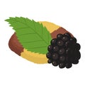 Blackberry dessert icon isometric vector. Fresh ripe blackberry and fruit cookie