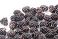 Lot`s and lot`s of blackberry`s