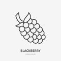 Blackberry flat line icon, forest berry sign, healthy food logo. Illustration of dewberry, bramble for natural food
