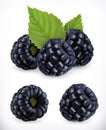 Blackberry. Forest berry. 3d vector icons set. Realistic illustration Royalty Free Stock Photo