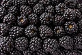 Blackberry fruit background