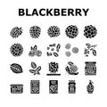 blackberry fruit berry black food icons set vector Royalty Free Stock Photo