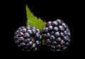 Blackberry fruit on black