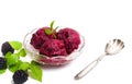 Blackberry fruit ice cream in a cup isolated Royalty Free Stock Photo