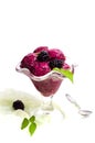 Blackberry fruit ice cream in a cup isolated Royalty Free Stock Photo