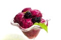 Blackberry fruit ice cream in a cup isolated Royalty Free Stock Photo