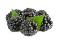 Blackberry fruit