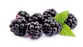 Blackberry fruit Royalty Free Stock Photo