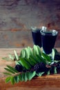 Blackberry fruit liqueur in two shot glasses with berries and gr Royalty Free Stock Photo