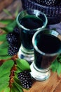 Blackberry fruit liqueur in two shot glasses with berries and gr Royalty Free Stock Photo