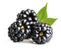 Blackberry fruit