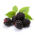 Blackberry fruits closeup photography in white background