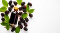 Blackberry fruits Tincture bottle, Blackberries on white background. Blackberry extract. Photo AI generated