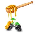 blackberry with honey Royalty Free Stock Photo