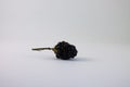 Blackberry isolated on white background Royalty Free Stock Photo