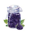 Blackberry jam in glass jar and black berries with leaves. Watercolor Royalty Free Stock Photo