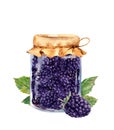 Blackberry jam in glass jar and black berries with leaves. Watercolor Royalty Free Stock Photo