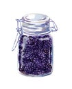 Blackberry jam in glass jar. Watercolor food illustration Royalty Free Stock Photo