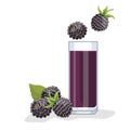 Blackberry juice in a glass, next to blackberries. White background, isolate. Vector illustration Royalty Free Stock Photo