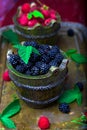Blackberry with leaf in a basket on vintage metal tray. Top view. Close up. Royalty Free Stock Photo